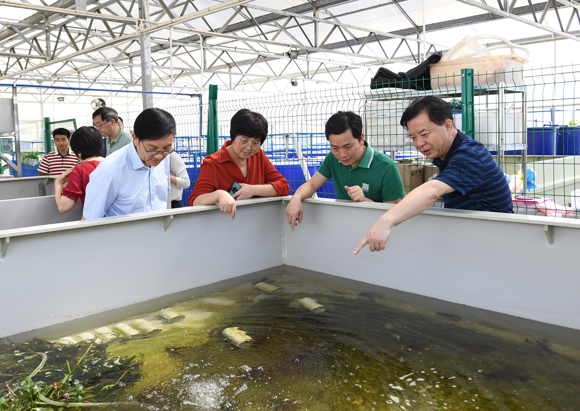 王玲一行调研必赢net线路教学科研基地,查看小龙虾养殖情况(记者 刘涛 摄) 王玲一行调研必赢net线路教学科研基地,查看小龙虾养殖情况(记者 刘涛 摄)